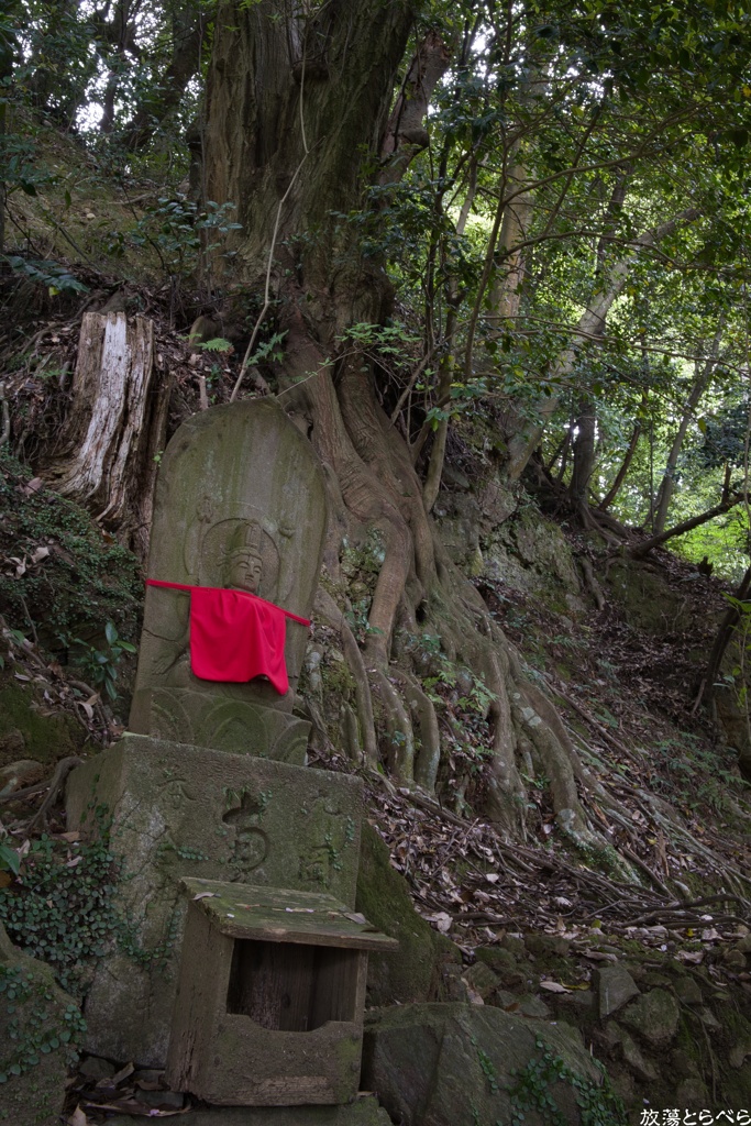 Snap@GRⅢ：松尾寺６