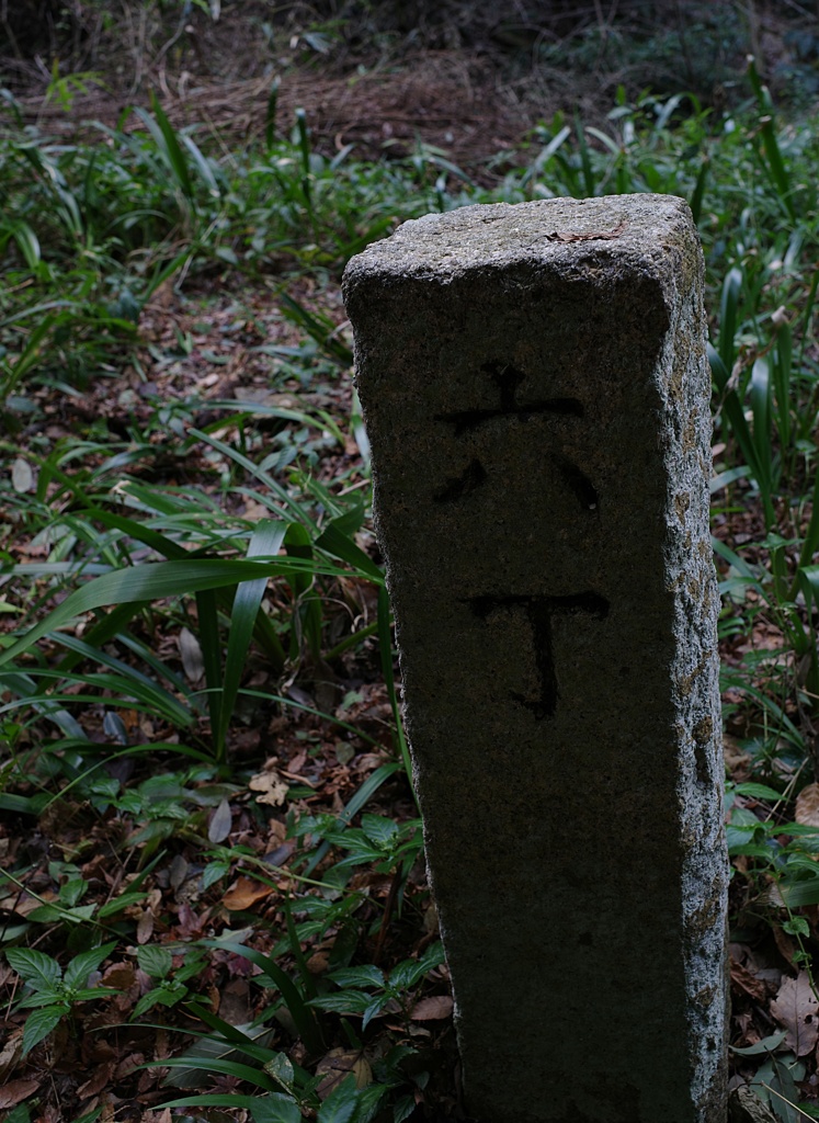 Snap@GRⅢ：施福寺１