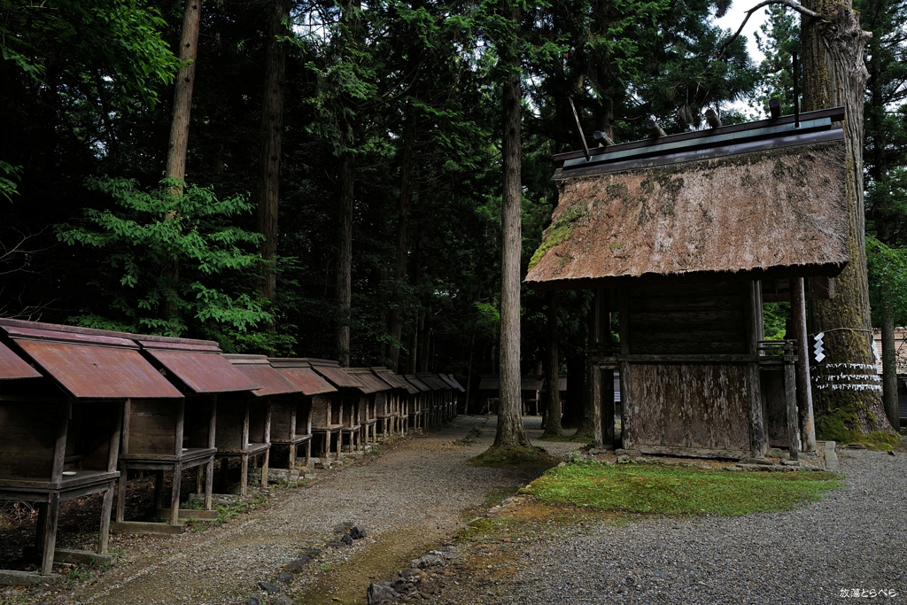 皇大神社：大きな社と小さな社たち