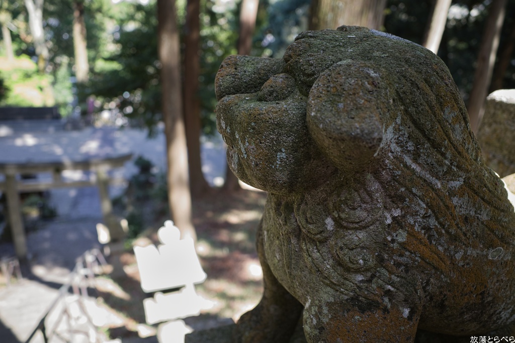 GRⅢ＠名張市：鹿高神社５