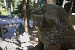 GRⅢ＠名張市：鹿高神社５