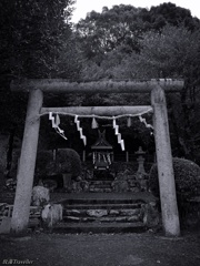 丹生酒殿神社：深部の祠