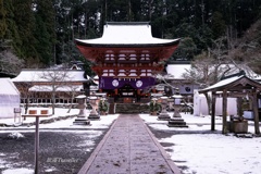 丹生都比命神社：蘇芳色の社