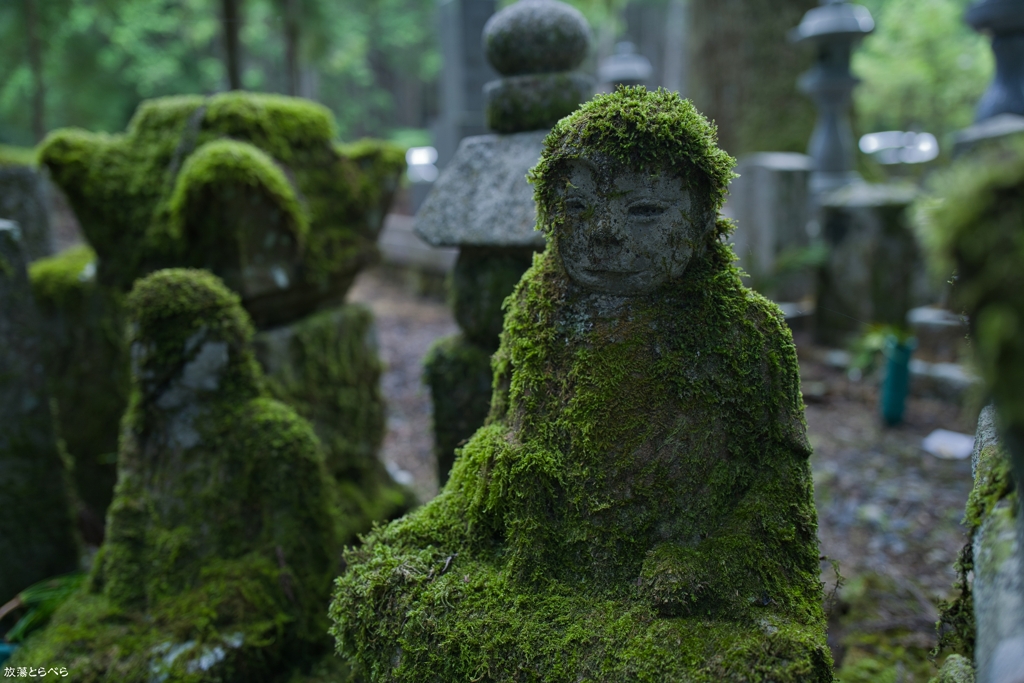 Q2@高野山：苔にまみれた地蔵