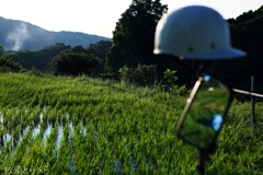 千早赤阪村：下赤坂の棚田