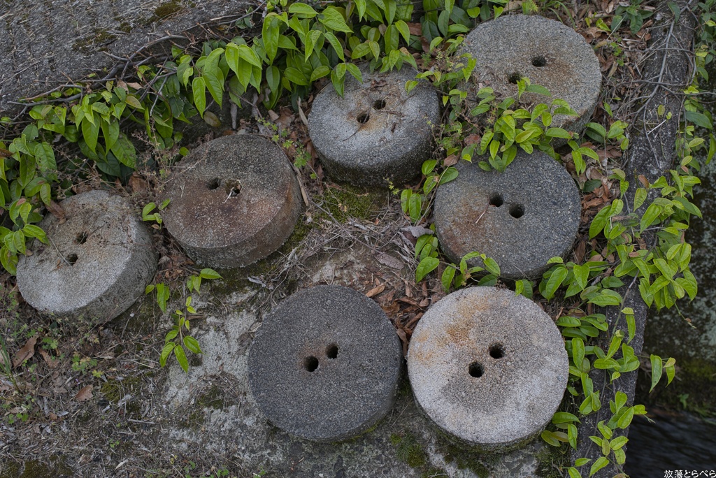 Snap@Q2：下赤阪の棚田６