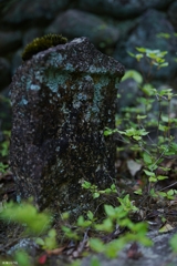 石塔寺：草と石仏