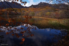 鏡池：かすかな風景