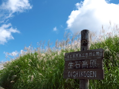 紀美野町：生石高原⑥