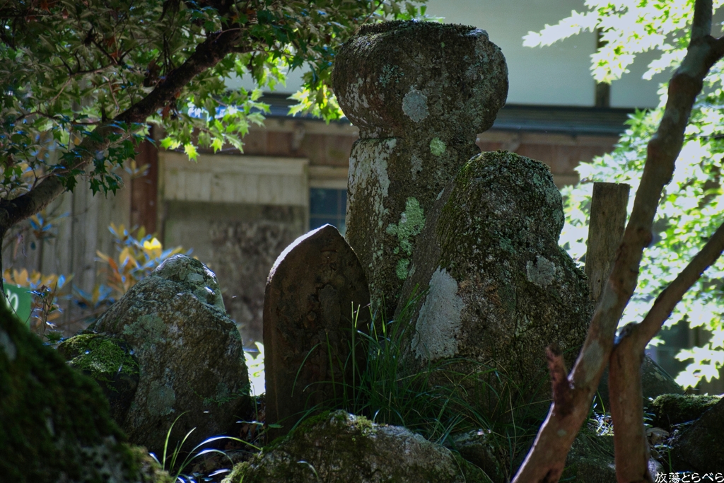 G5XⅡ＠泰運寺：隅に佇む石仏たち