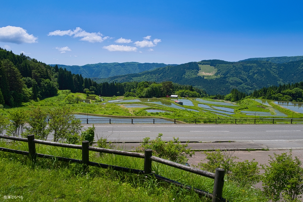 別宮の棚田：ピーカンの殺風景