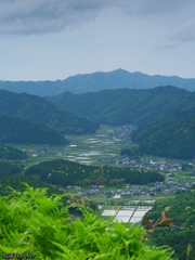 黒井城跡：眼下に見下ろす風景