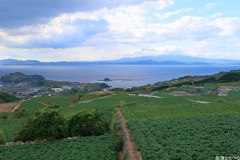 G5XⅡ：有明海を望む田園風景４