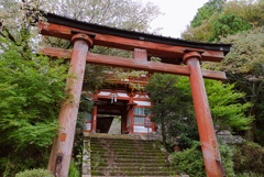 Snap@GRⅢ：吉野水分神社