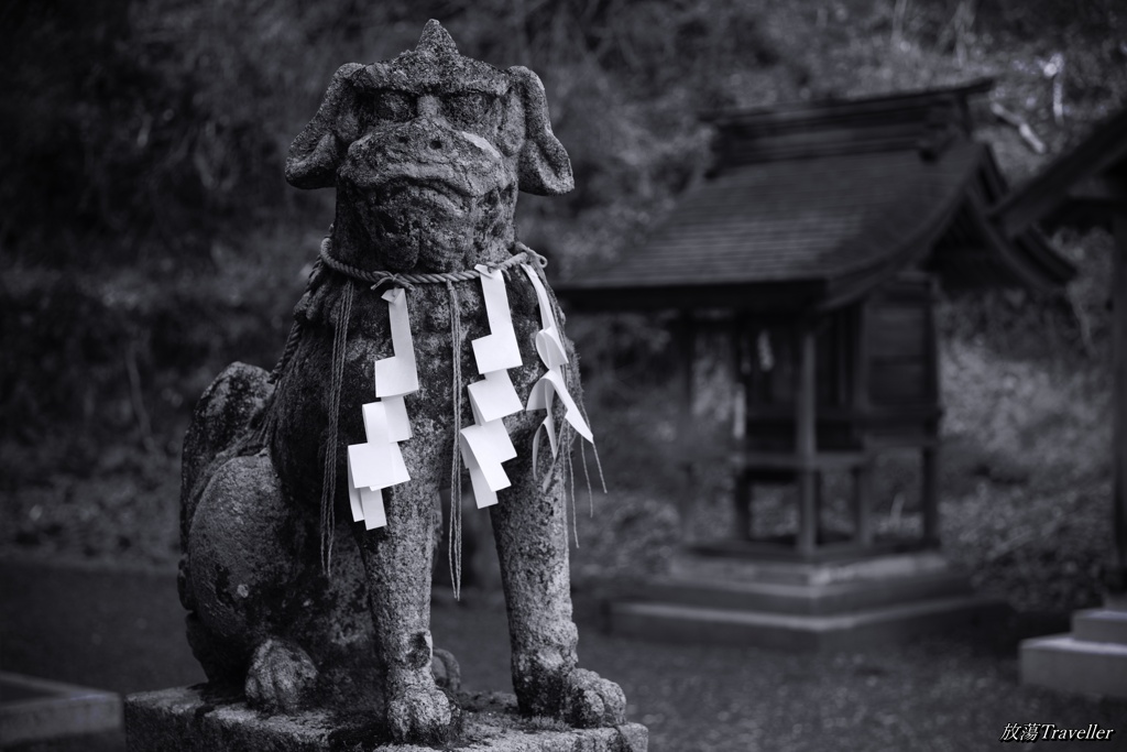 大川神社：ポートレート「神犬」