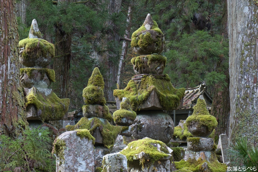 G5XⅡ＠奥の院：そそり立つ