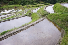 下赤阪の棚田：入水模様