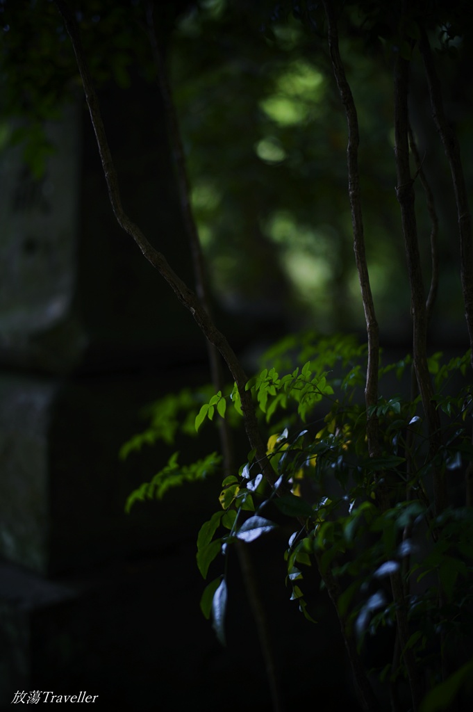 柞原八幡宮：参道の片隅で