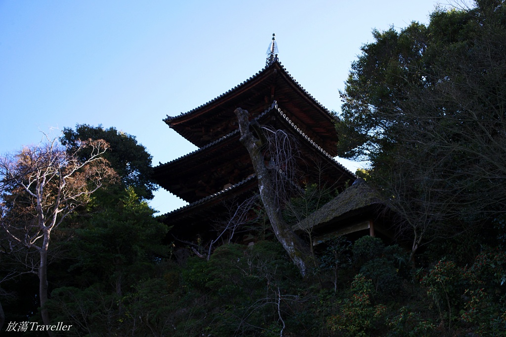 當麻寺：三重塔を見上げる