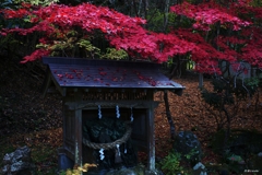 墨坂神社：真っ赤な紅葉と水神