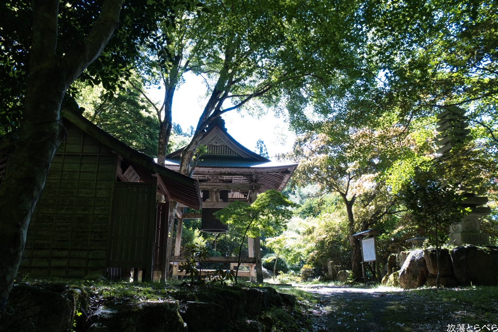 G5XⅡ＠泰運寺：境内１