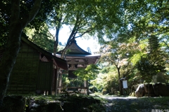 G5XⅡ＠泰運寺：境内１