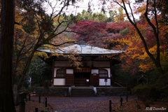 地蔵院：色彩という妙味