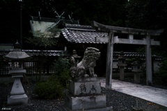 青賀原神社：静かな町の神社