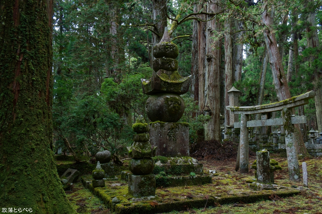 G5XⅡ＠奥の院：雑多な神秘