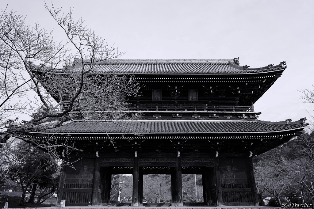 根来寺：枯れ枝と仁王門