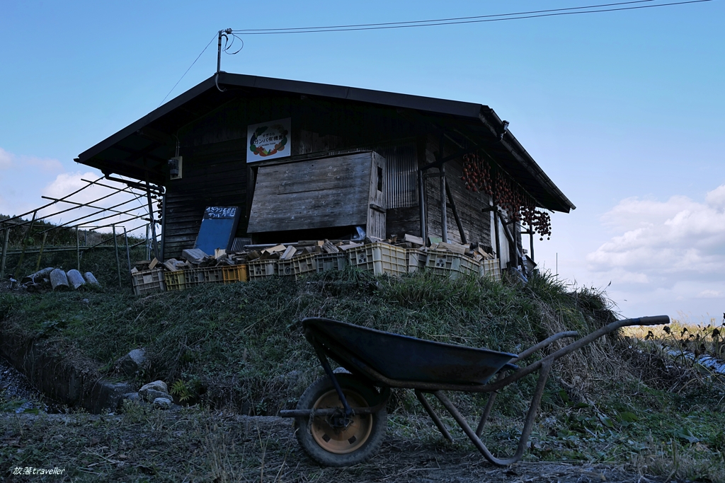 葛城山麓：オフシーズンの畑小屋