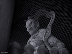 粉河寺：The Portrait