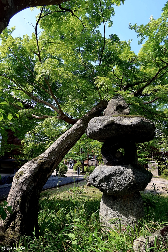 G5XⅡ＠橘寺：庭園コントラスト