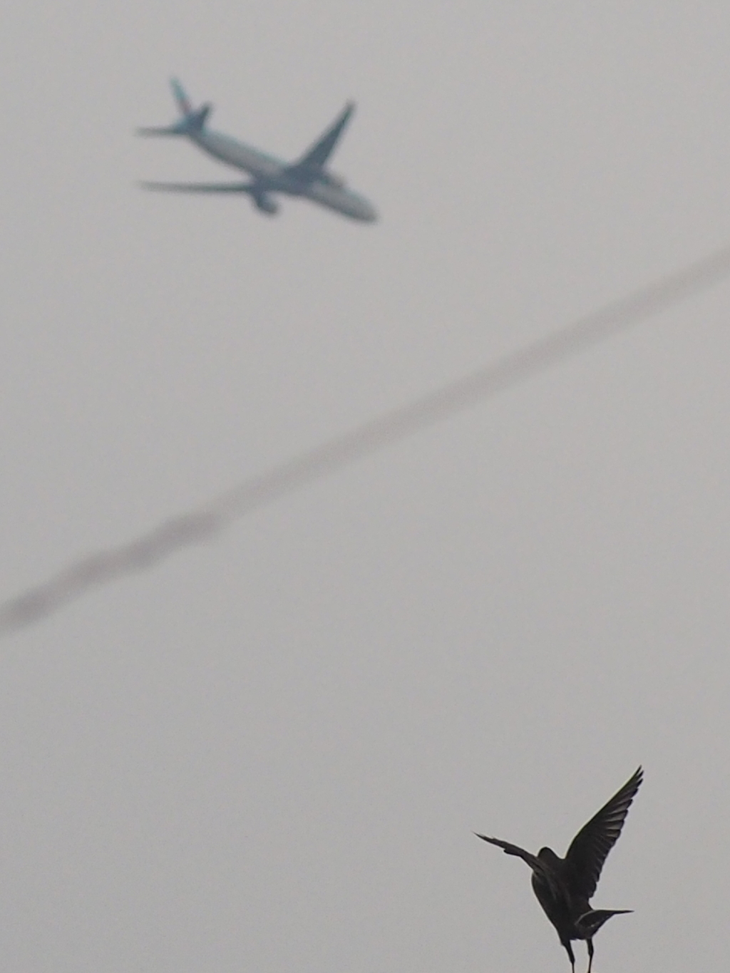 takeoff