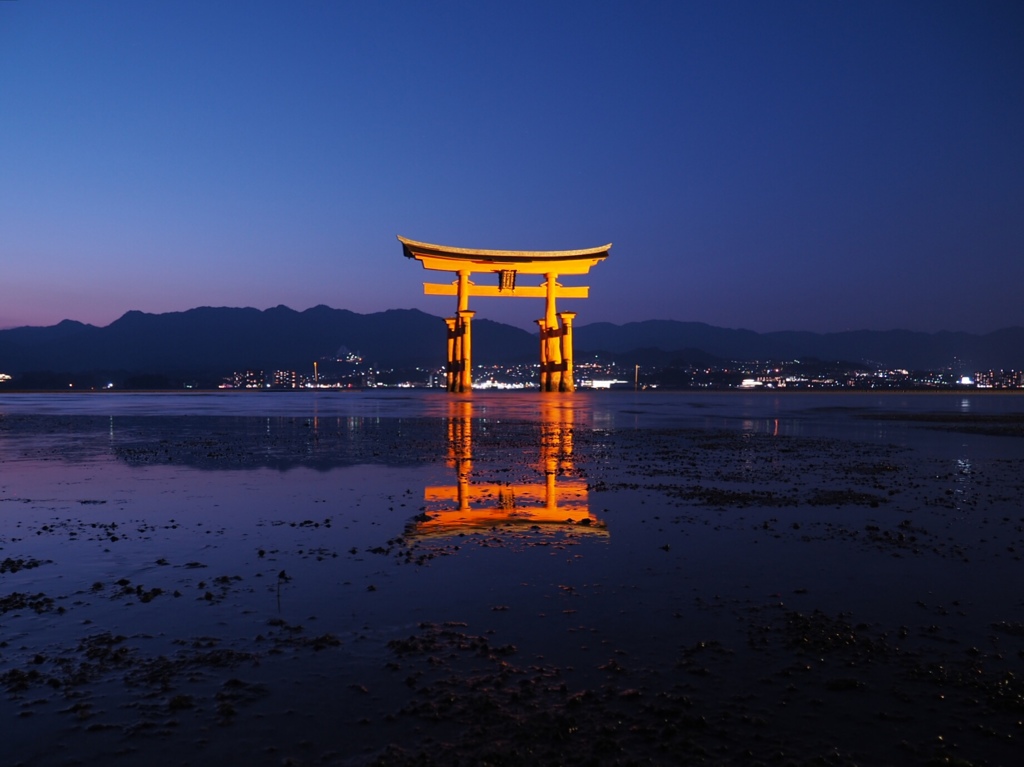 大鳥居萌ゆ