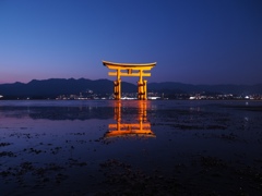 大鳥居萌ゆ