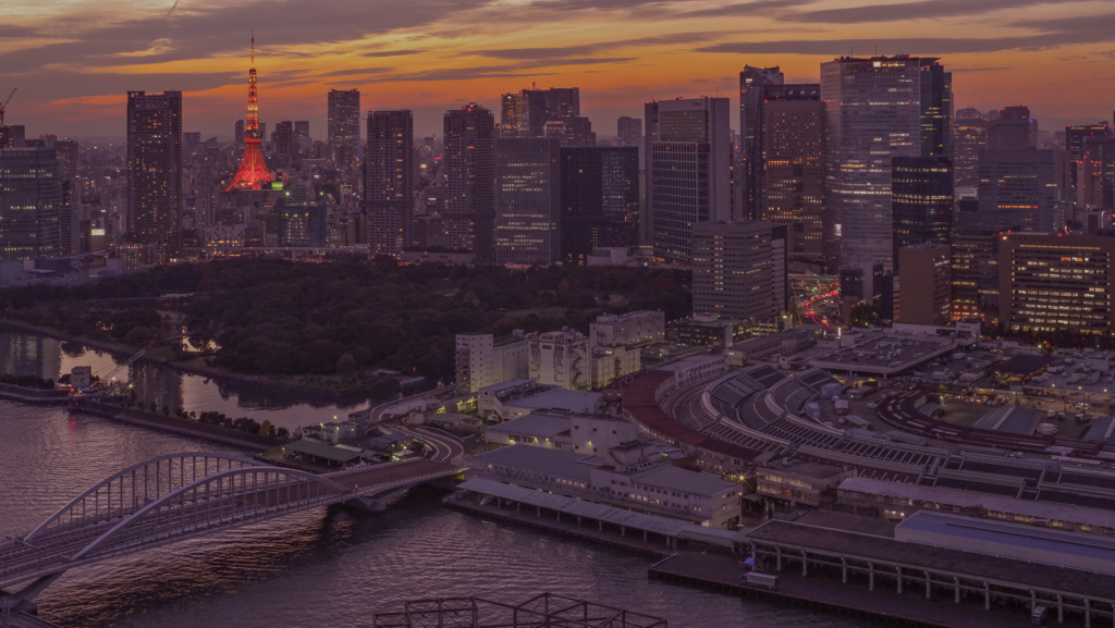 The Sunset 7
