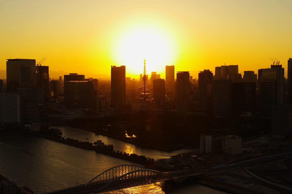 The Sunset 15