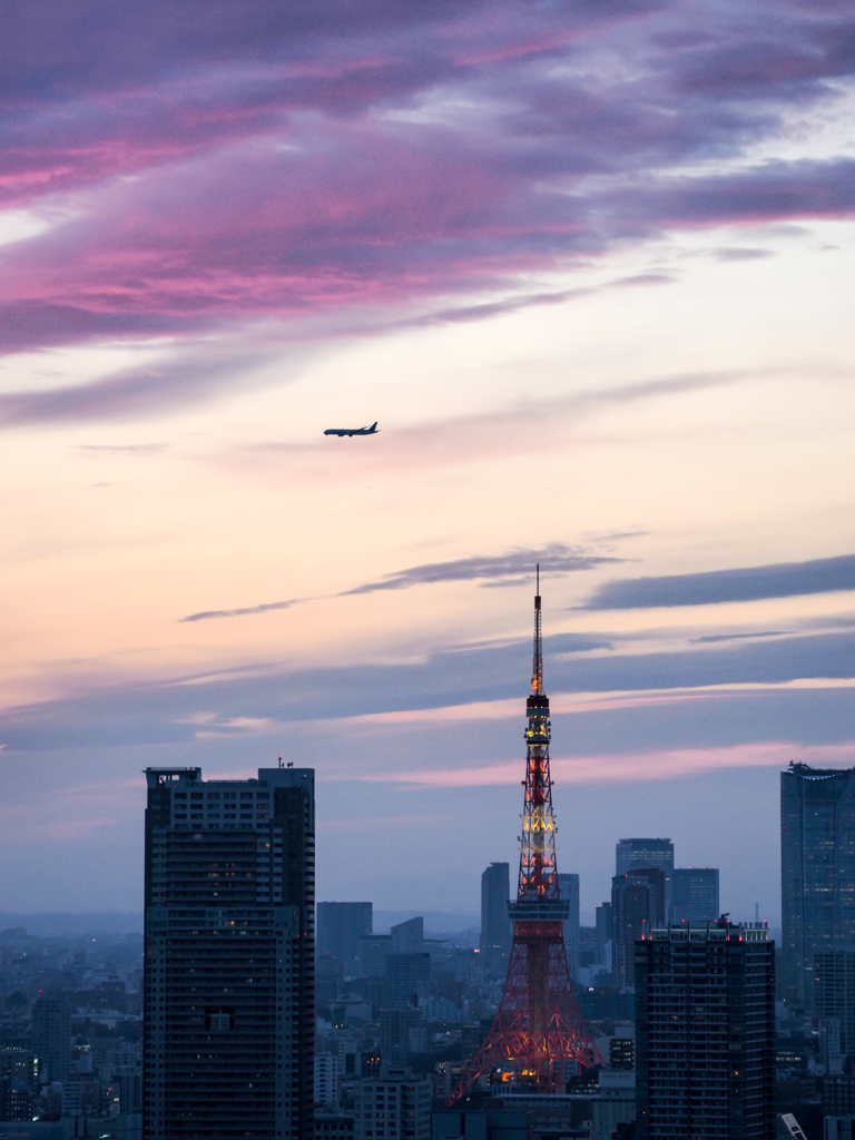 The Sunset 14