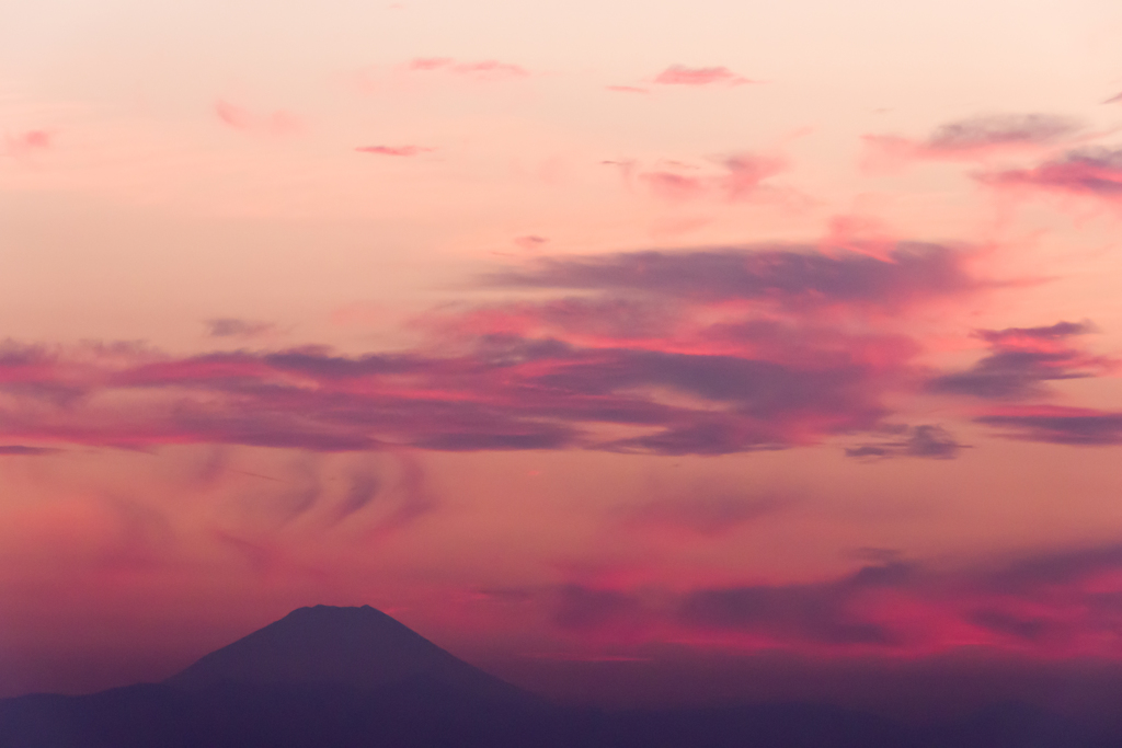 The Sunset 5