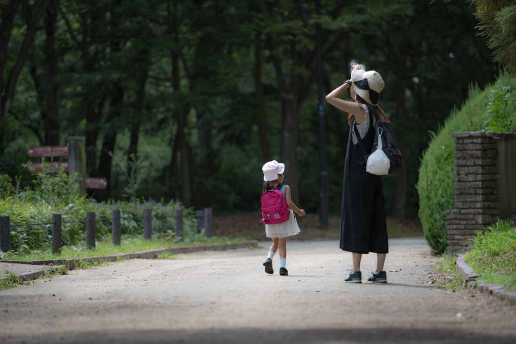 公園さんぽ