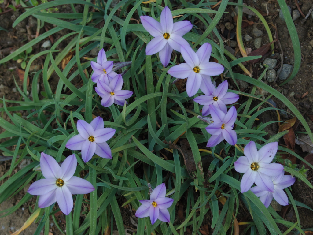 IMGP1090