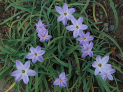 IMGP1090