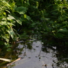 P9180033