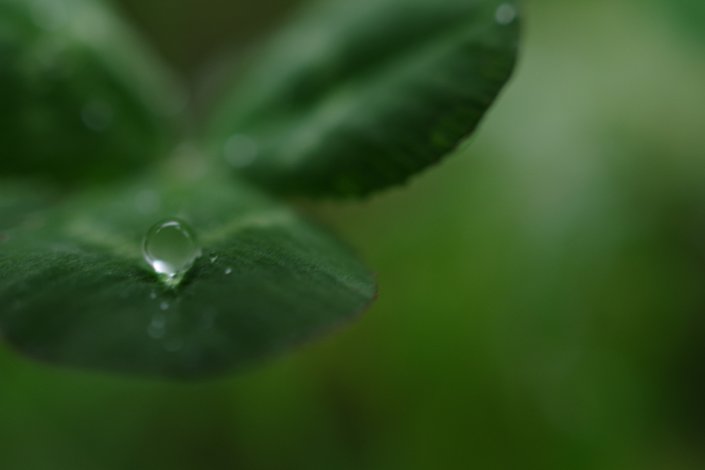 水滴