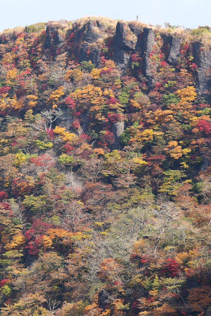 霧島の紅葉_b