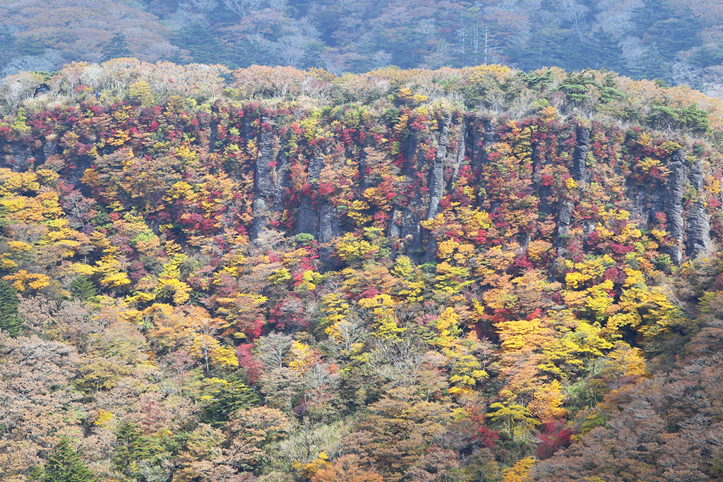 霧島の紅葉_a