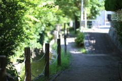 遊歩道