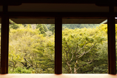 高山寺