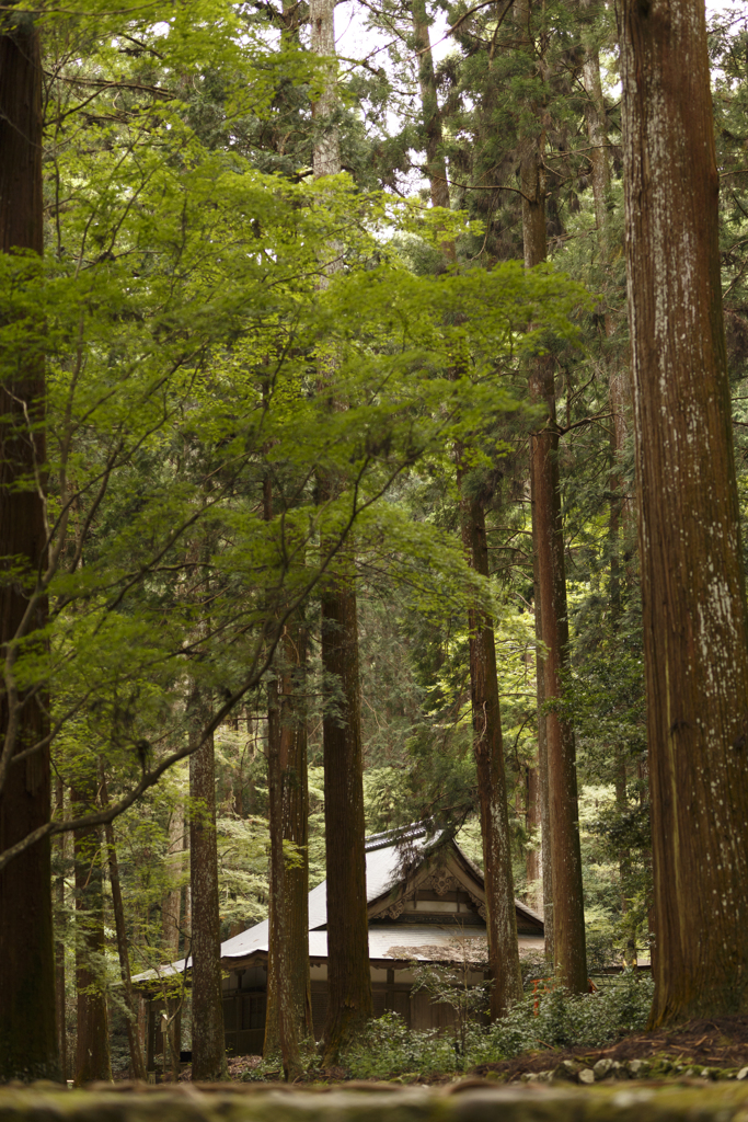 高山寺